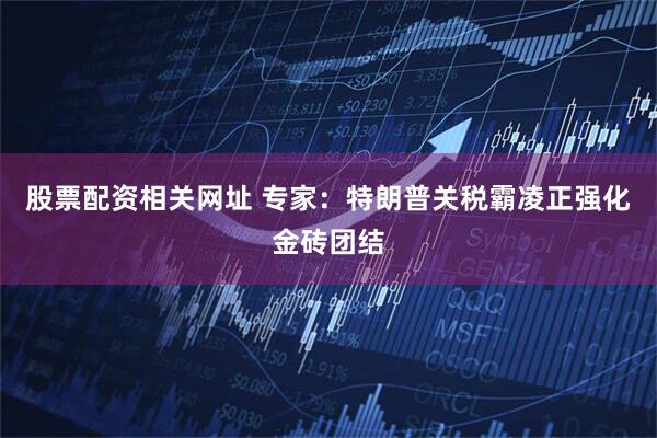股票配资相关网址 专家：特朗普关税霸凌正强化金砖团结