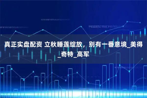 真正实盘配资 立秋睡莲绽放，别有一番意境_美得_奇特_高军